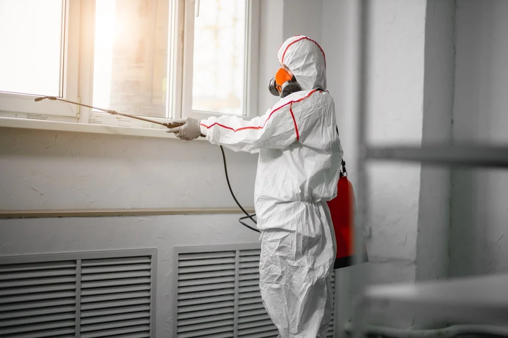 Professional mold remediation services in Dousman, WI